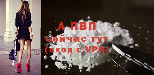молекула духа Иннополис