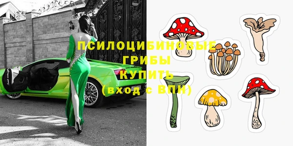 прущий лед Каменногорск