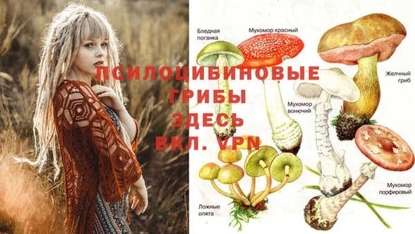 MDMA Зеленодольск