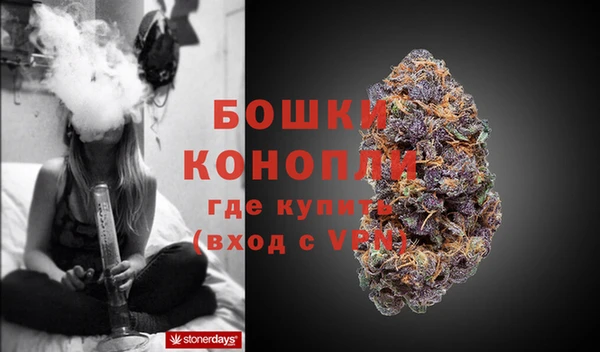 трава Инта