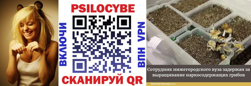 Галлюциногенные грибы Cubensis  Купить закладки  Рассказово 